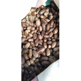 

シ Pala Lonjong asal Papua dapat 1kg. Paling Murah っ