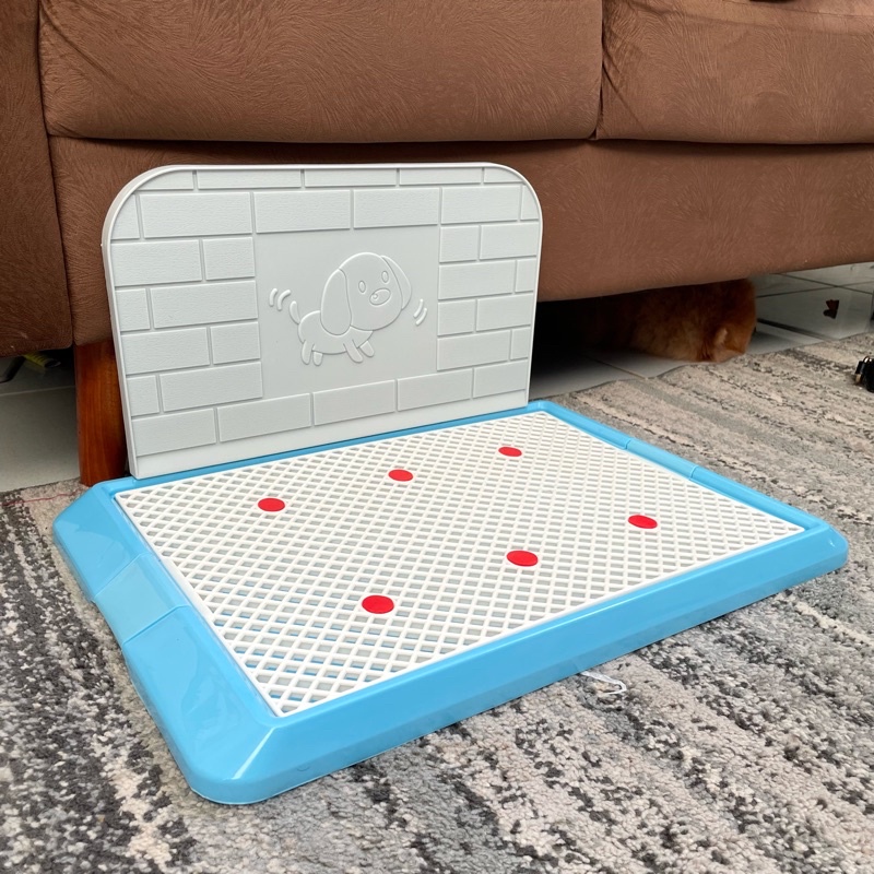 Puppy Potty training pee / Pet Toilet anjing jantan