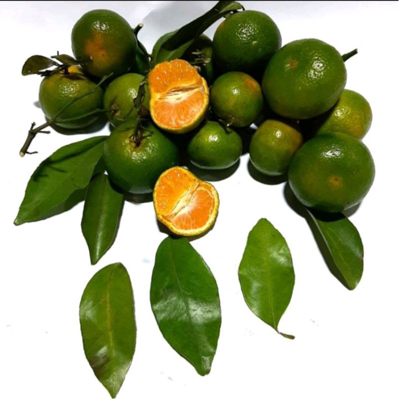

JERUK SANTANG MADU HIJAU FRESH 1KG