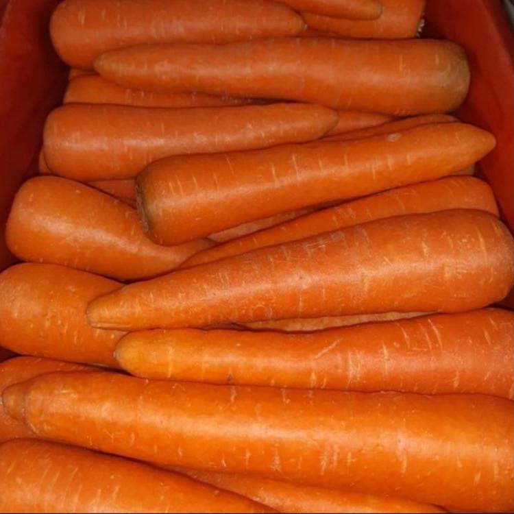 

>D2289) ⭐⭐⭐⭐⭐ Wortel import segar/wortel manis brastagi/sayur box online 500 gram