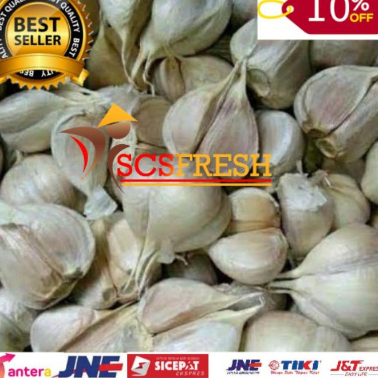 

Paling Popular Bawang Putih Kating Bersih 1 Kg 82 ➙
