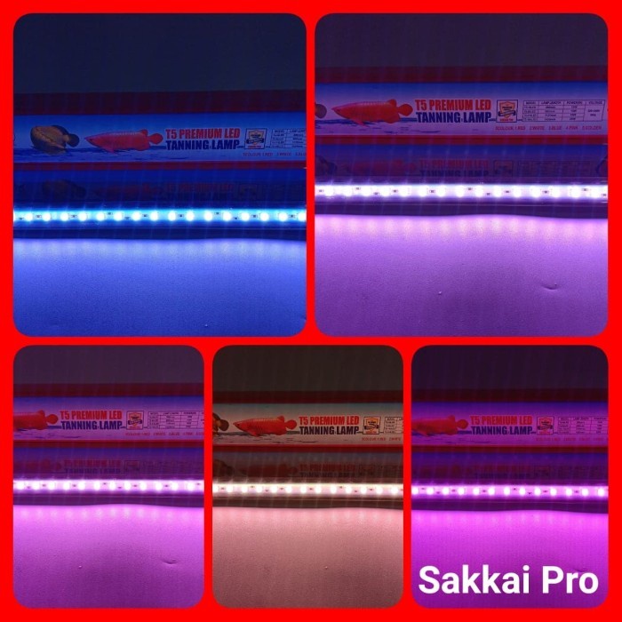 Lampu Tanning Arwana T5 118 LED Lampu Aquarium 5 Mode Warna SAKKAI PRO