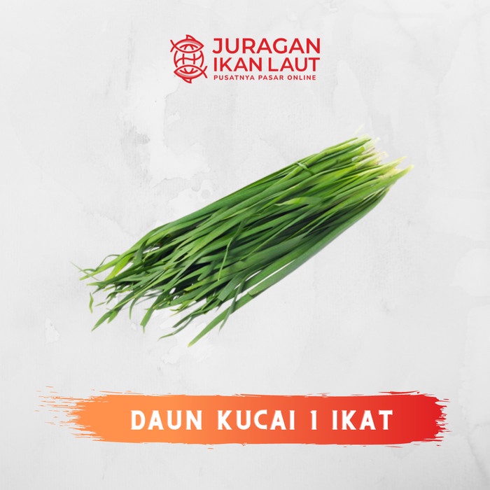 

Daun Kucai Segar Berkualitas - 1 Ikat