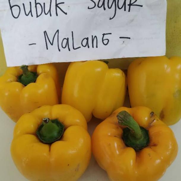 

BIG SALE Paprika Kuning 500 gram ⁂ 859