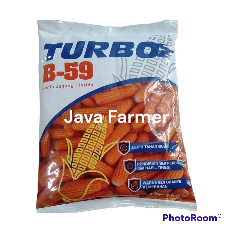 Jual Benih Jagung Hibrida Turbo B-59 1kg | Shopee Indonesia