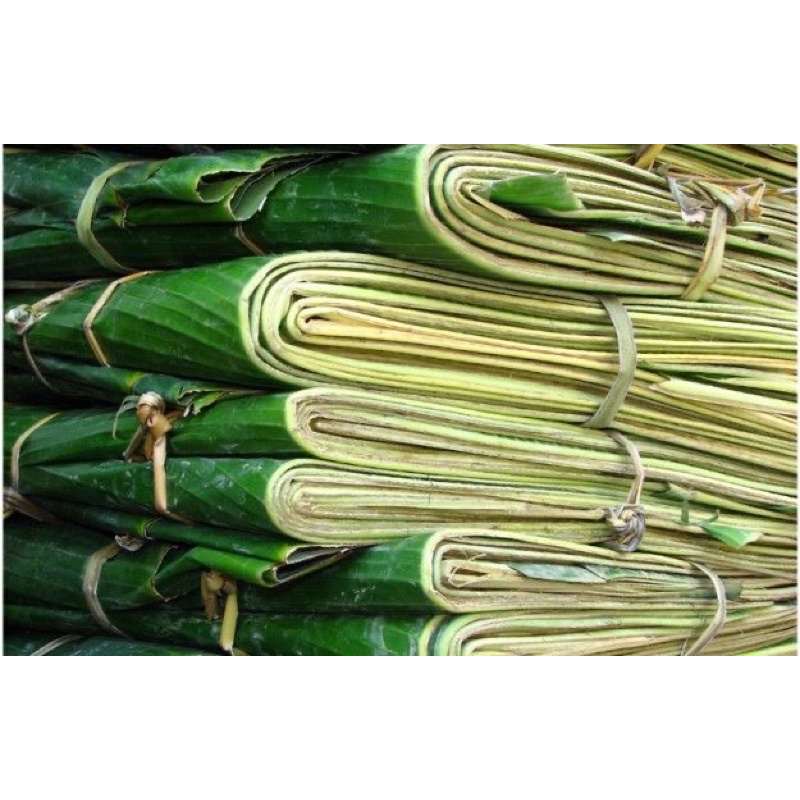 

DAUN PISANG , Fresh Banana Leaves