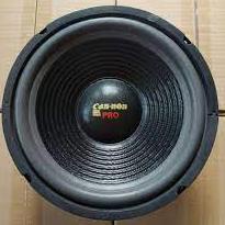 {CMH.21De22ᵁ} speker 10 in canon wofer