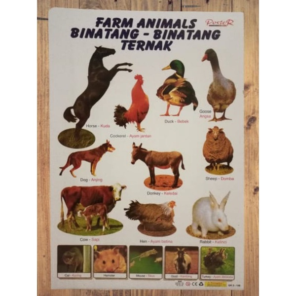 

Poster Belajar Anak Binatang-binatang Ternak