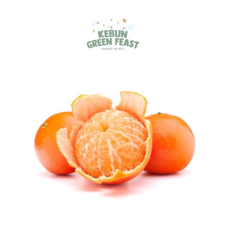 

Jeruk Ponkam Mandarin