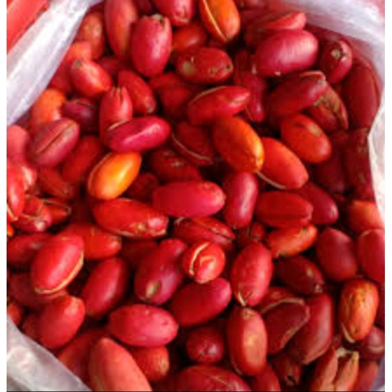 

KULIT MELINJO SEGEER SUPER 1KG KULIT MELINJO MATENG 100% SEGER 1KG KULIT MELINJO