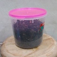 

TEH WASGITEL KHAS ANGKRINGAN HIK SOLO