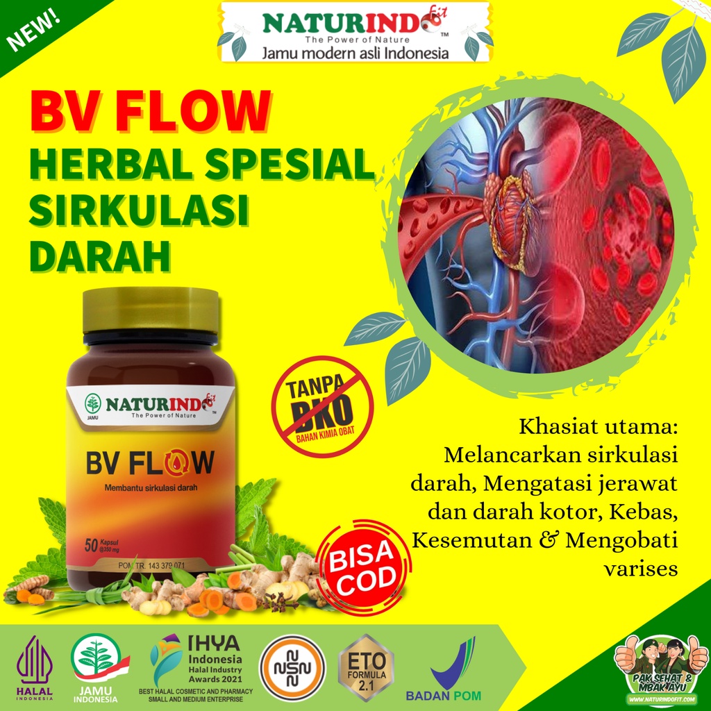 Herbal Bersih Darah Plak Pembuluh Darah Kotor Obat Herbal Nutrisi Tubuh Naturindo BV FLOW