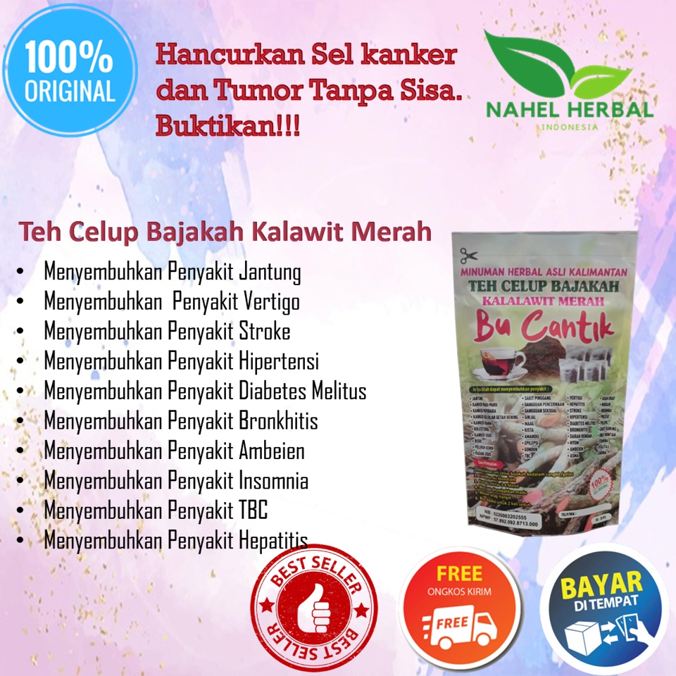 Obat Assalam Asam Urat Cina Dan Flu Tulang  Reumatik Alami - Bajakah Kalalawit Merah - Asam Urat Dan