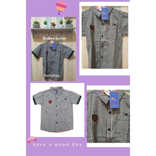 Atasan kaos anak laki laki rodeo junior/that's donald