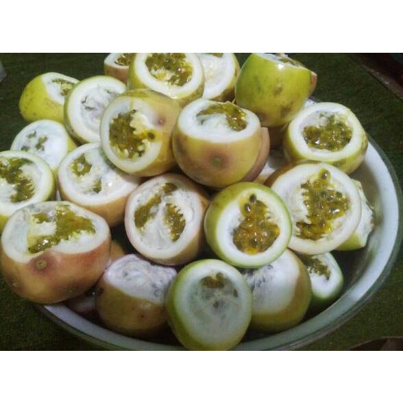 

BIG DISKON Buah markisa 1 KG segar langsung petik(ada selalu) # 868