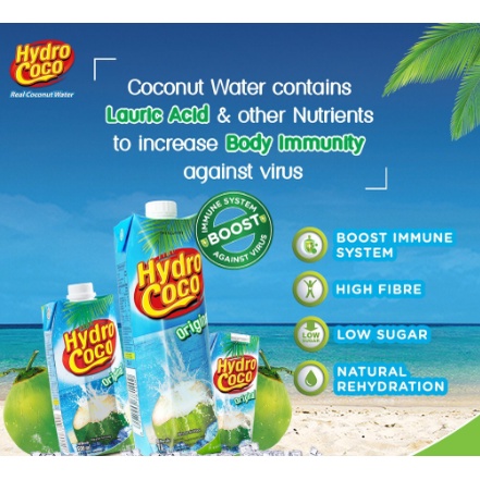 HYDRO COCO MINUMAN AIR KELAPA 250ML