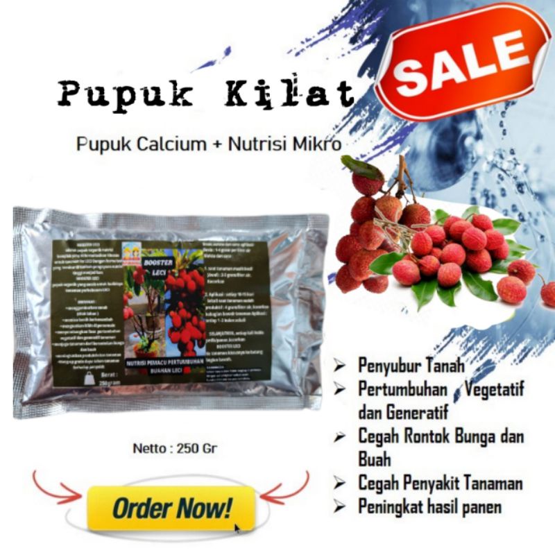 Pupuk Booster Organik Pelebat Buah Leci Dan Perangsang Agar Cepat Berbuah