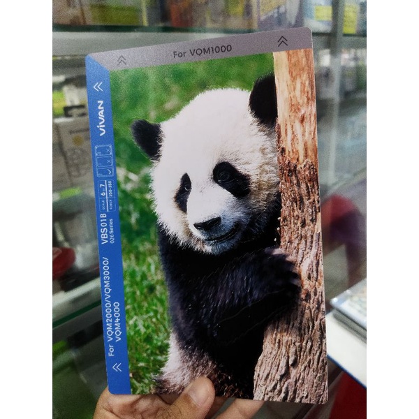 Back Sticker VIVAN VBS01B (002, 015, 018,019,020,026)