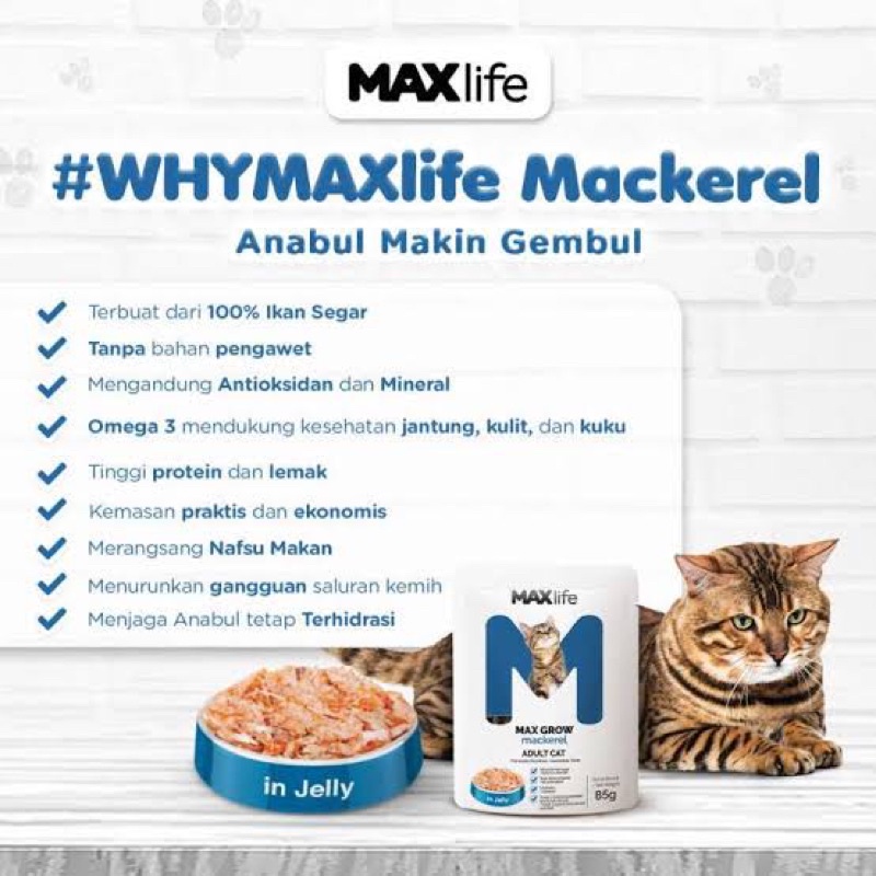 MAXlife Pouch 85g