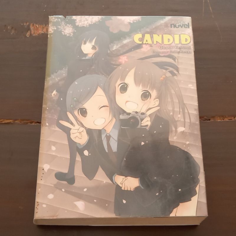 Preloved Buku Lite Novel CANDID by Obata Yasumi Terjemahan Jepang