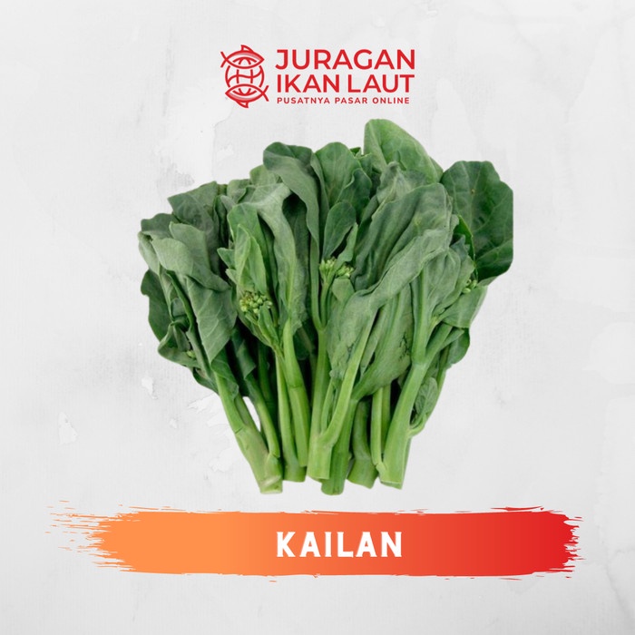 

Sayur Kailan Segar Fresh Berkualitas - 250 Gram