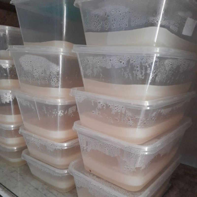 nata lembaran nata de coco jadi mentah murah beli perlembar