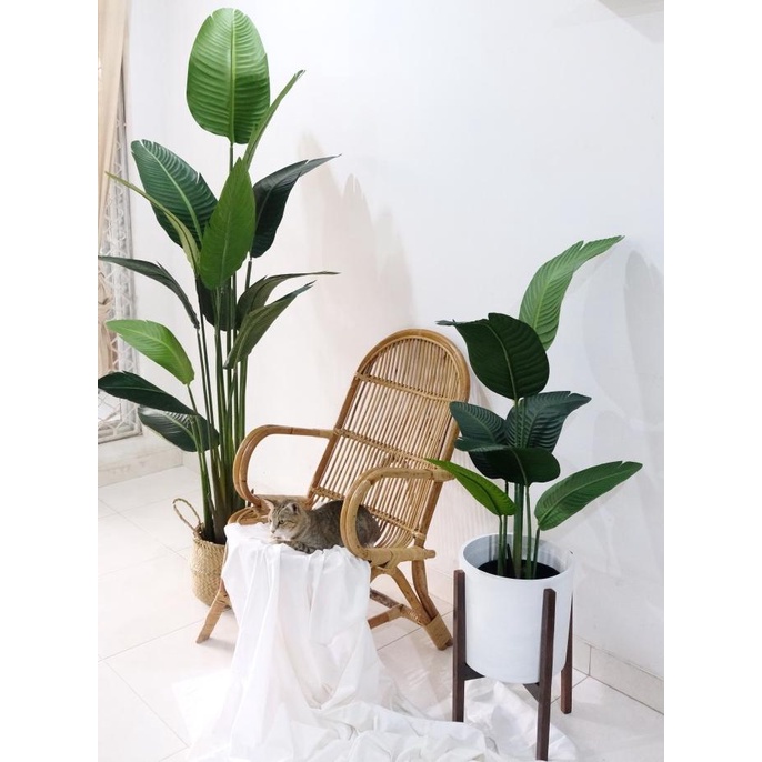 Pohon Pisangan Kipas Plastik / Bird of Paradise Kualitas Premium