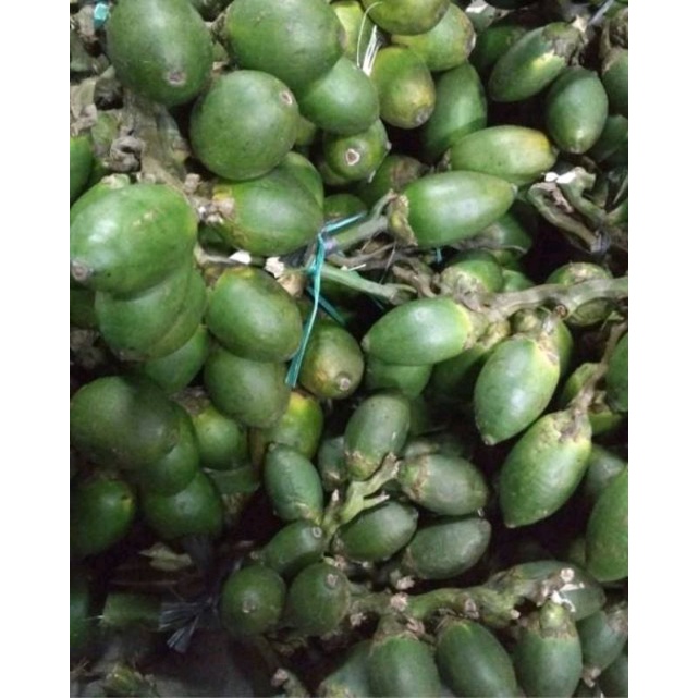 

Buah Pinang Muda/Herbal/harga satuan/buah jambe muda