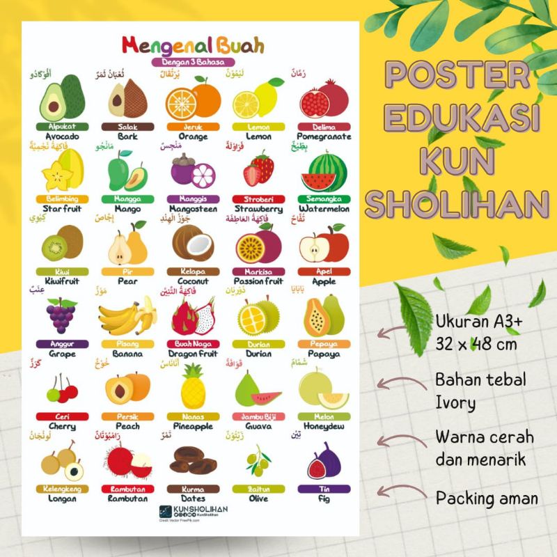 Poster edukasi poster buah 3 bahasa