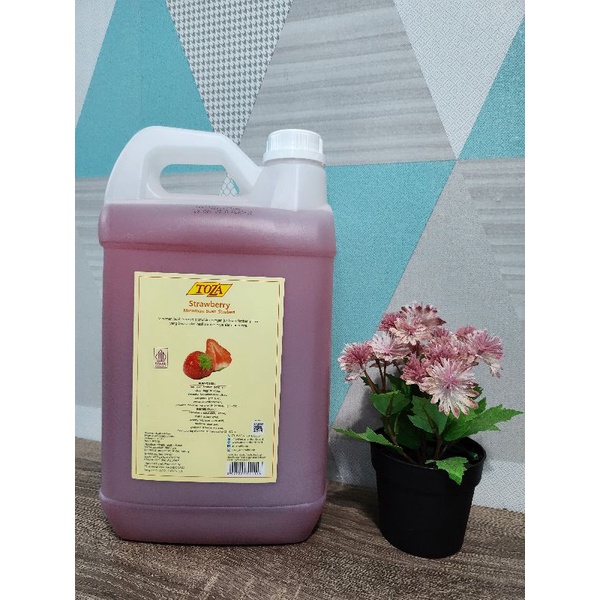 

Jus TOZA/ TOZA Juice 5 liter rasa STROBERI