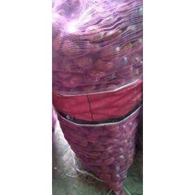 

㊚ 1kg Jengkol mentah tua ペ