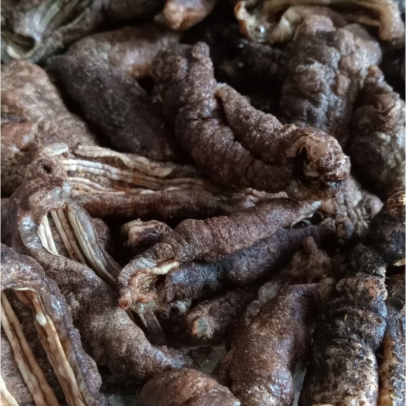 

Keripik Teripang Blunyo - keto (250gr)