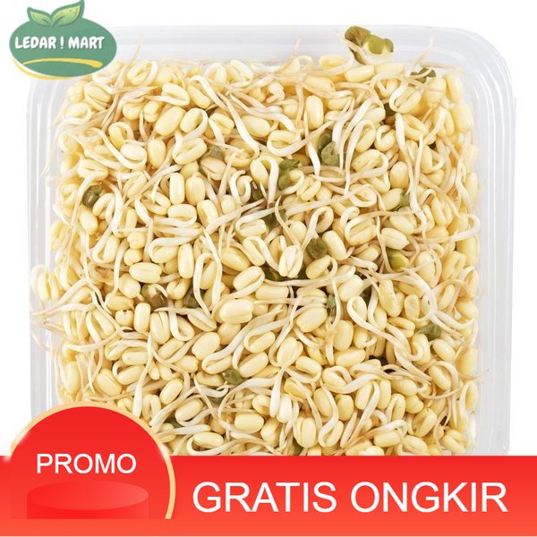 

Tauge Pendek Kecambah Organik