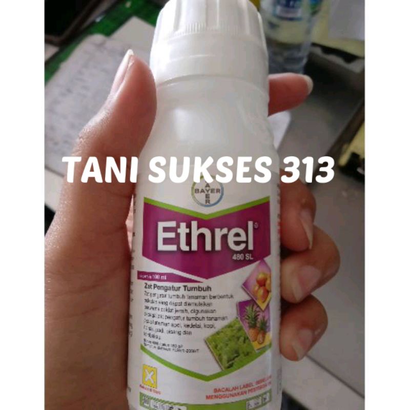 ZAT PEMATANG BUAH ( karbit cair ) ETHREL / pemasak buah etrel 100ml / ethrel karbit