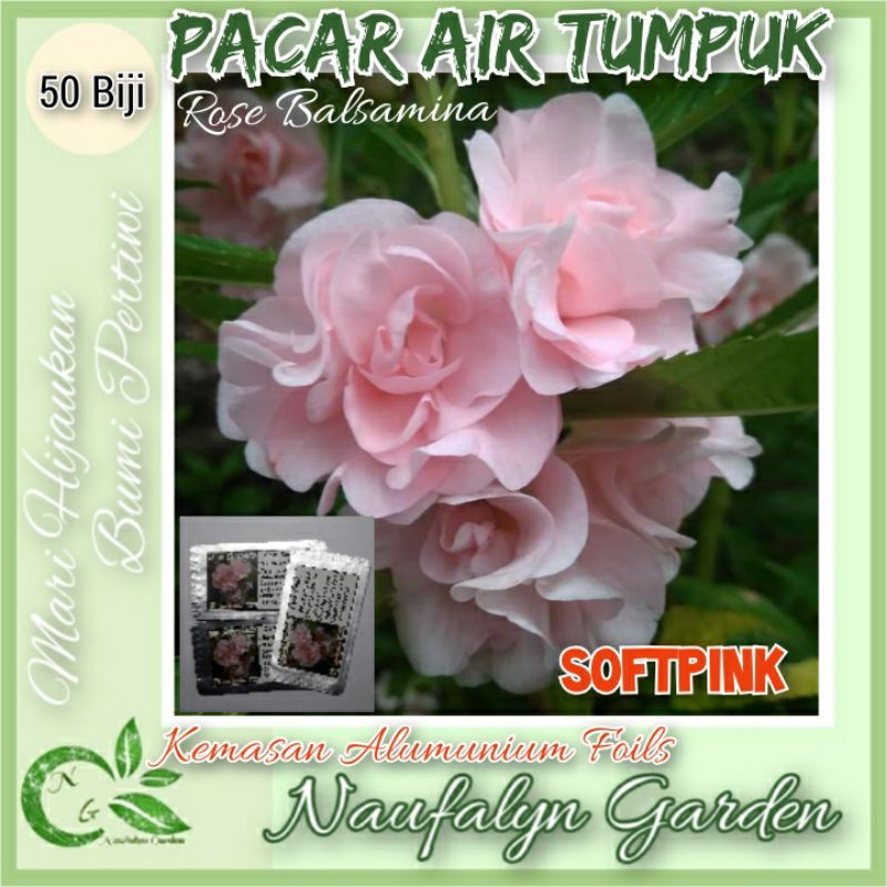 50 Benih Bibit Bunga Pacar Air Rose Balsamina Softpink