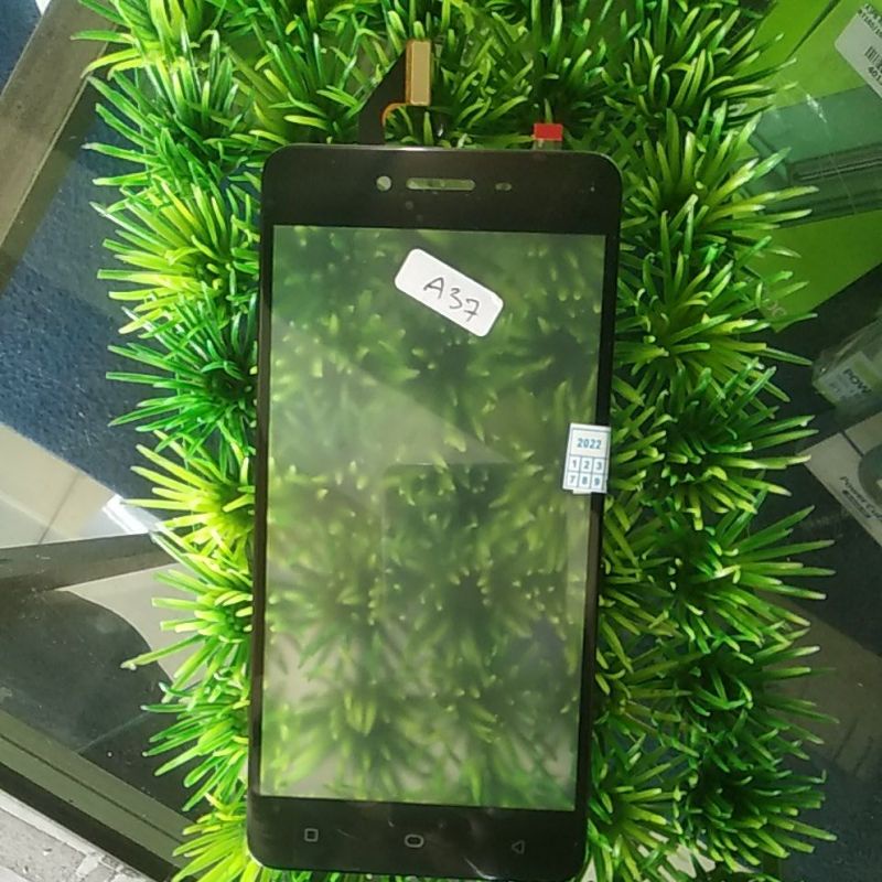 TS OPPO A37