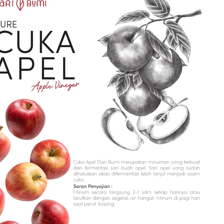 

➵Murah➵ Cuka Apel Asli Daribumi Minuman Diet Premium Pure Original 76 ❈
