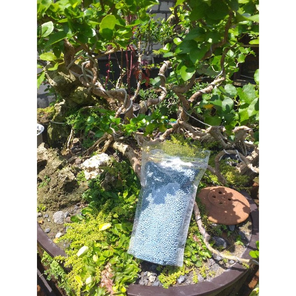 Pupuk Npk 161616 Yaramila Repack 250gram