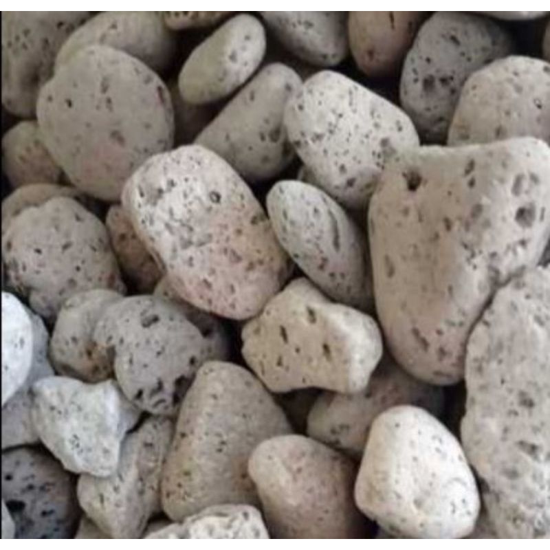 Media Filter Kolam Aquarium Pumice Stone Batu Apung 1kg