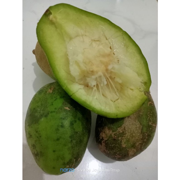 

Buah Kedondong/Kedongdong Fresh 1kg