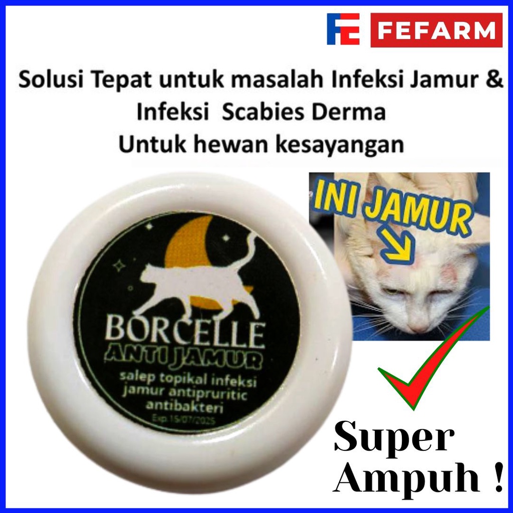 Salep Anti Jamur Kucing Cat Hewan Peliharaan Anti Bakteri Dan Infeksi Hewan FEFARM