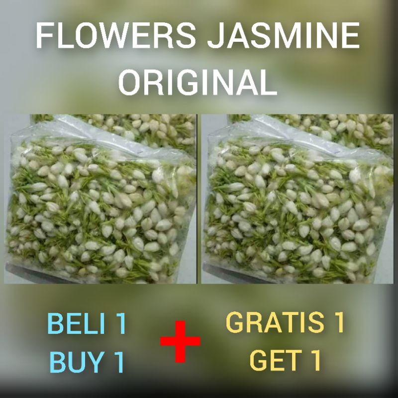 bunga melati 250 gram ( beli 1 gratis 1 ) flower jasmine fresh