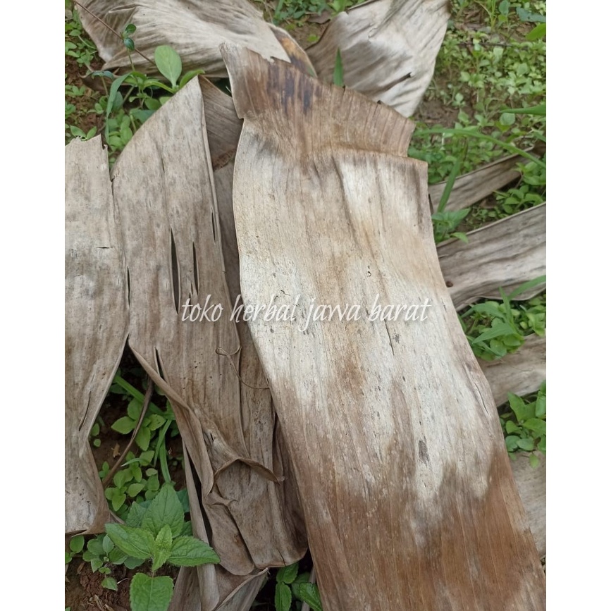 Daun pisang kering buat pemeliharaan jangkrik cupang dll 100 gr