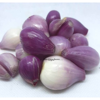 

Sayur Segar Bawang Merah Kupas 1Kg