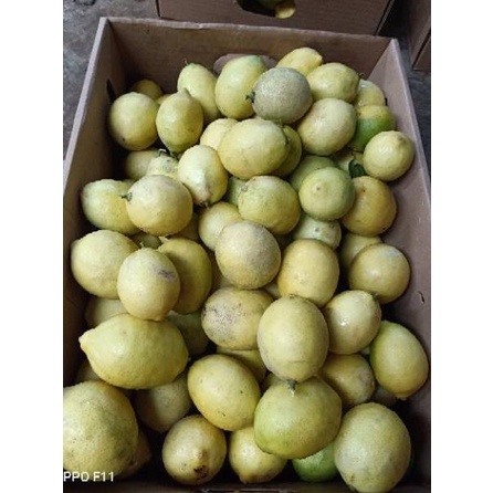 

PALING BAGUS Lemon lokal berat 1kg ♪ 882