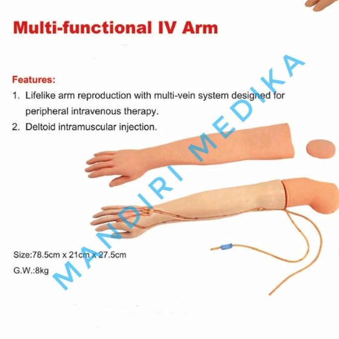 Manikin Phantom Tangan Infus Phlebotomy Original General Doctor