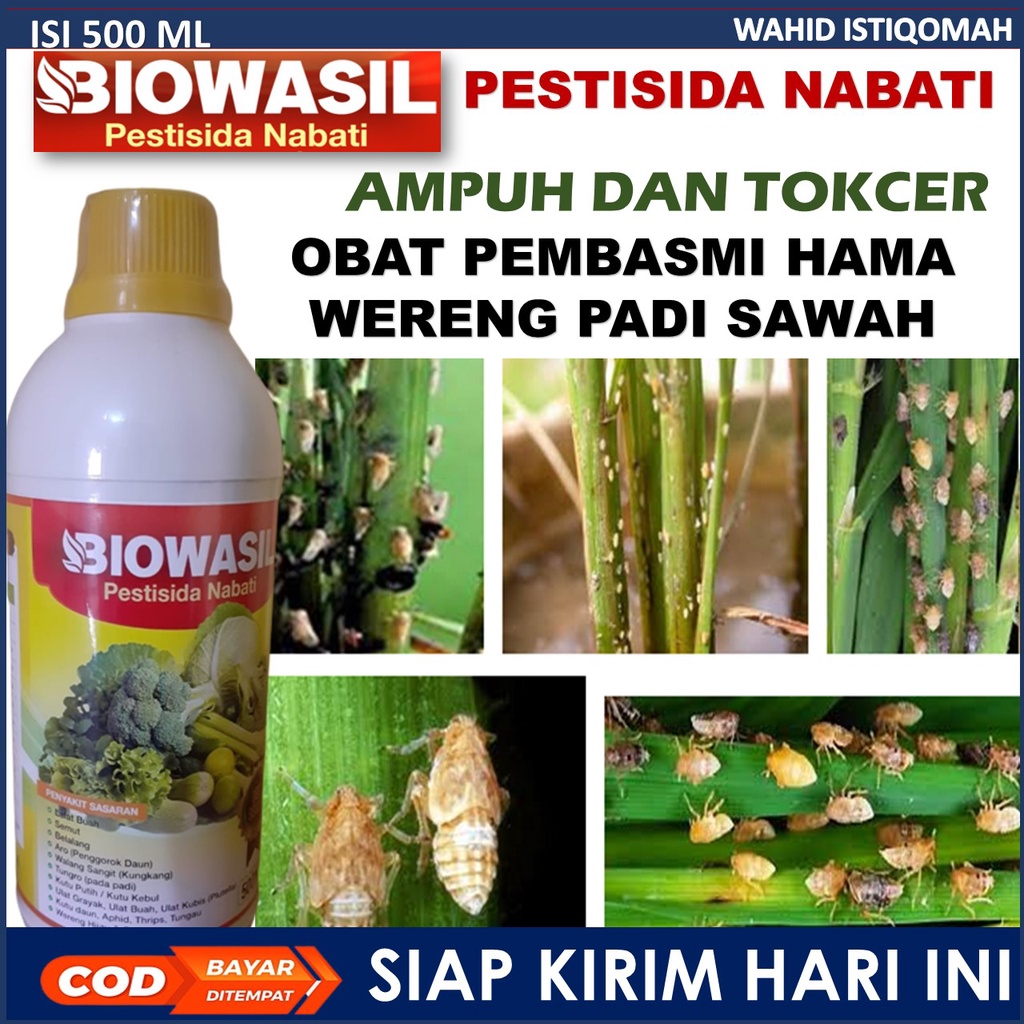 (PUPUK AMPUH) PESTISIDA BIOWASIL OBAT HAMA PADI BERKUALITAS - Pestisida padi atasi hama padi - intek