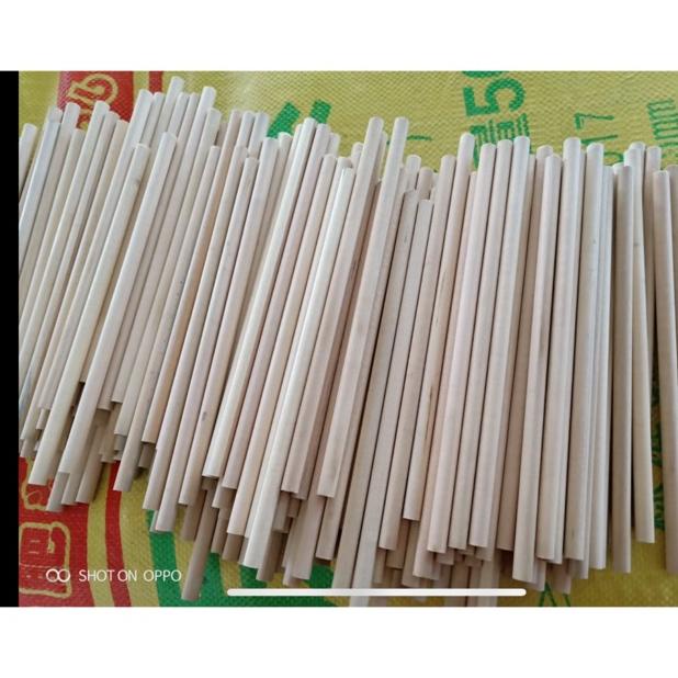 

PENSIL POLOS KAYU IMPORT ISI 100 BUAH SEGIENAM BULAT ATAU SEGITIGA TERLARISS...,,,,,