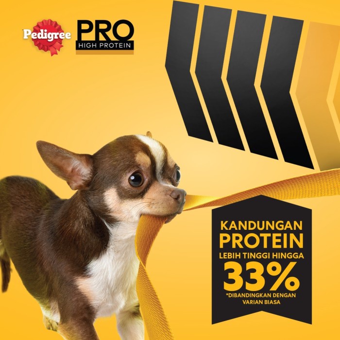 PEDIGREE PRO High Protein Adult Mini Smallbreed 1.3kg Makanan Anjing