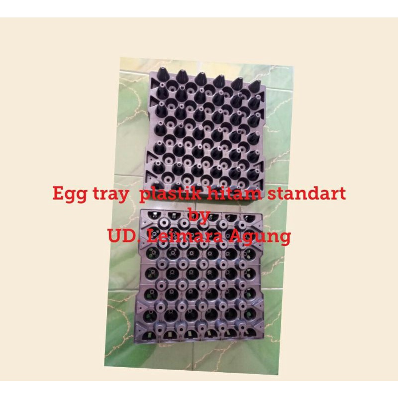 egg tray plastik / tray telor ayam plastik standart Hitam